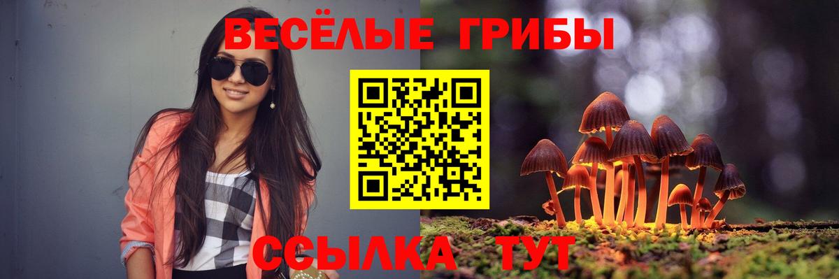 Красногорск  Псилоцибиновые грибы GOLDEN TEACHER  Вход с VPN 